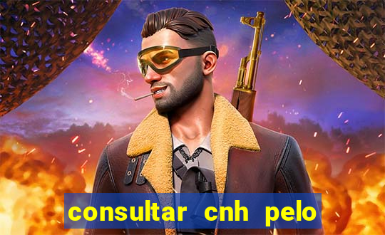 consultar cnh pelo cpf sp